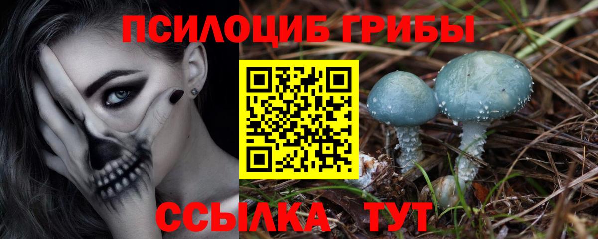 Альметьевск  Галлюциногенные грибы GOLDEN TEACHER  Вход с VPN 